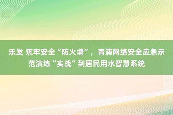 乐发 筑牢安全“防火墙”，青浦网络安全应急示范演练“实战”到居民用水智慧系统