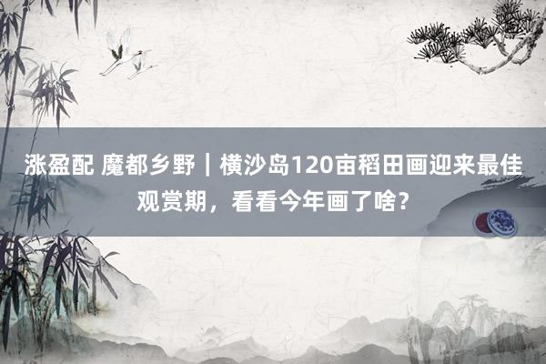 涨盈配 魔都乡野｜横沙岛120亩稻田画迎来最佳观赏期，看看今年画了啥？
