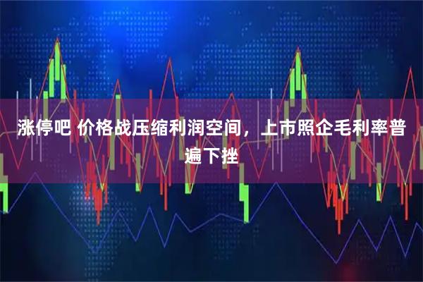 涨停吧 价格战压缩利润空间，上市照企毛利率普遍下挫