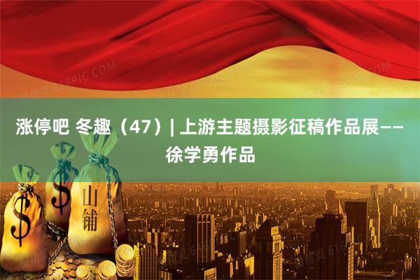 涨停吧 冬趣（47）| 上游主题摄影征稿作品展——徐学勇作品