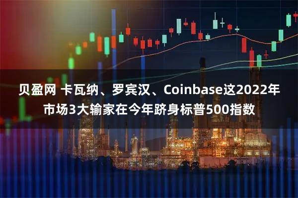 贝盈网 卡瓦纳、罗宾汉、Coinbase这2022年市场3大输家在今年跻身标普500指数