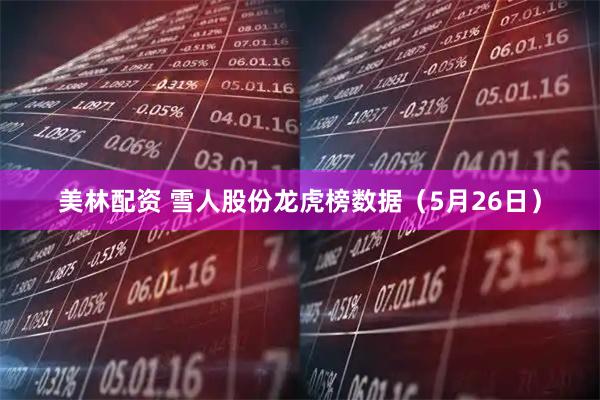 美林配资 雪人股份龙虎榜数据（5月26日）
