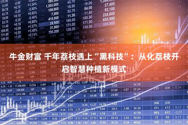 牛金财富 千年荔枝遇上“黑科技”：从化荔枝开启智慧种植新模式