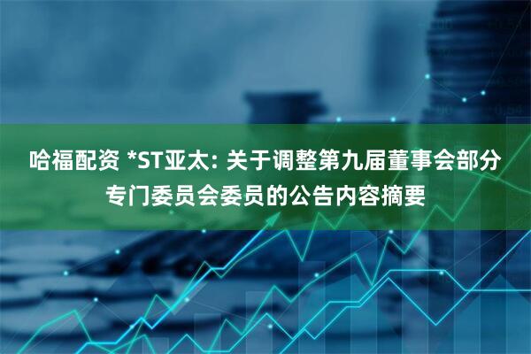 哈福配资 *ST亚太: 关于调整第九届董事会部分专门委员会委员的公告内容摘要