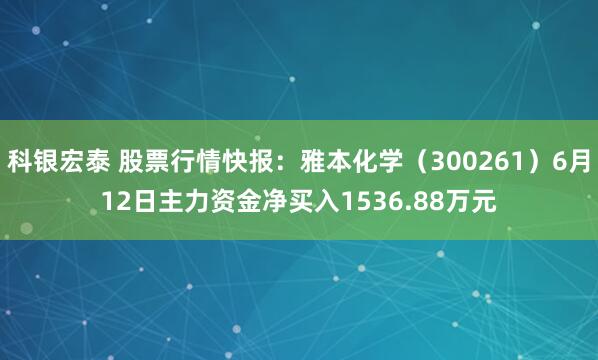 科银宏泰 股票行情快报：雅本化学（300261）6月12日主力资金净买入1536.88万元