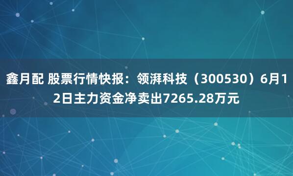 鑫月配 股票行情快报：领湃科技（300530）6月12日主力资金净卖出7265.28万元