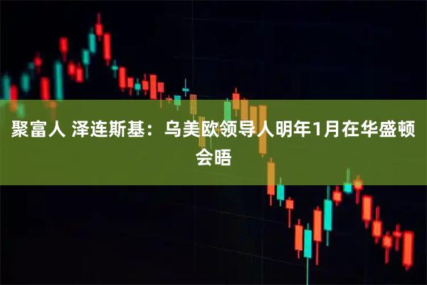 聚富人 泽连斯基：乌美欧领导人明年1月在华盛顿会晤