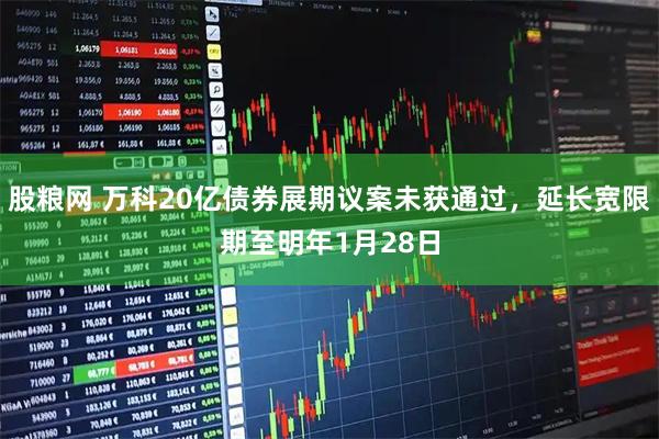 股粮网 万科20亿债券展期议案未获通过，延长宽限期至明年1月28日