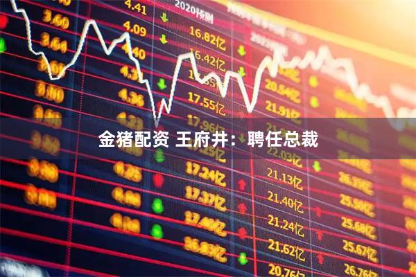 金猪配资 王府井：聘任总裁