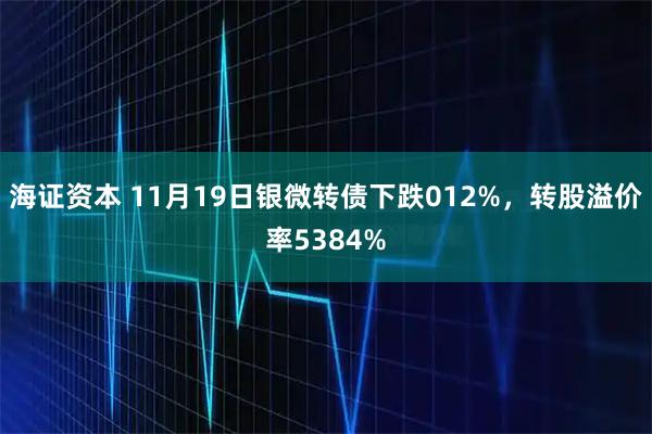海证资本 11月19日银微转债下跌012%，转股溢价率5384%