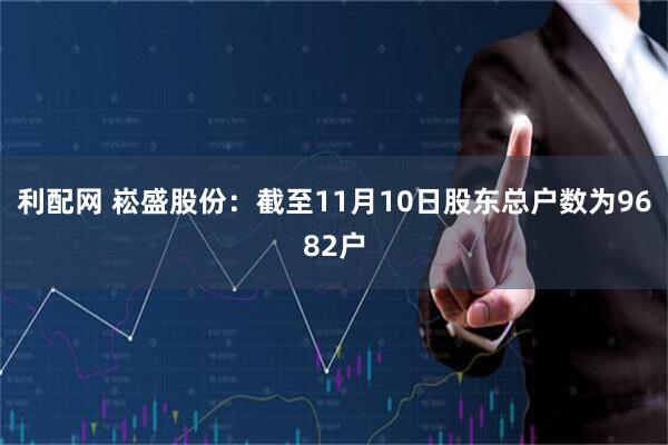 利配网 崧盛股份：截至11月10日股东总户数为9682户