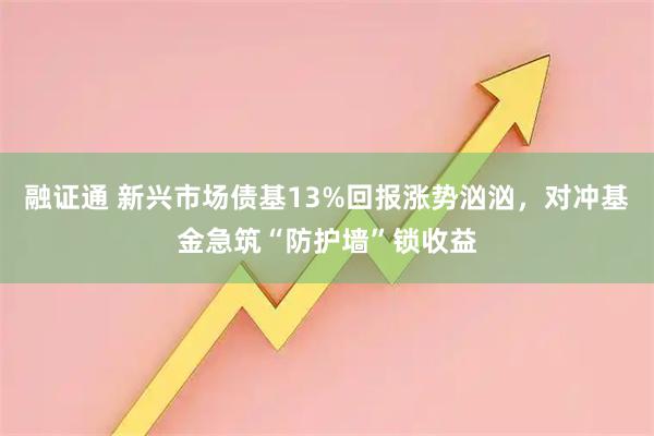 融证通 新兴市场债基13%回报涨势汹汹，对冲基金急筑“防护墙”锁收益