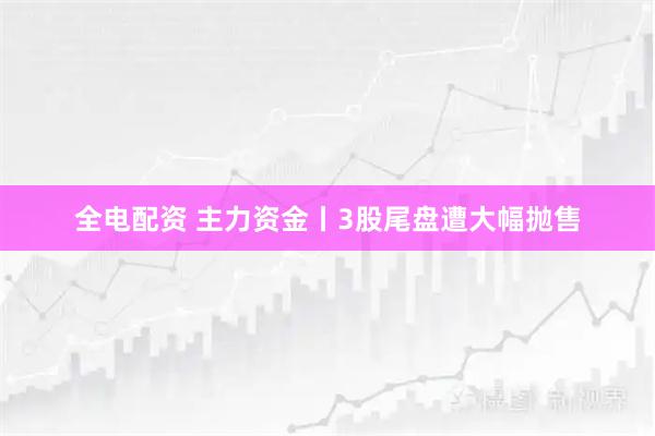 全电配资 主力资金丨3股尾盘遭大幅抛售